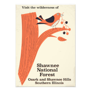 Shawnee National Forest Illinois Vintage-Plakat Fotodruck