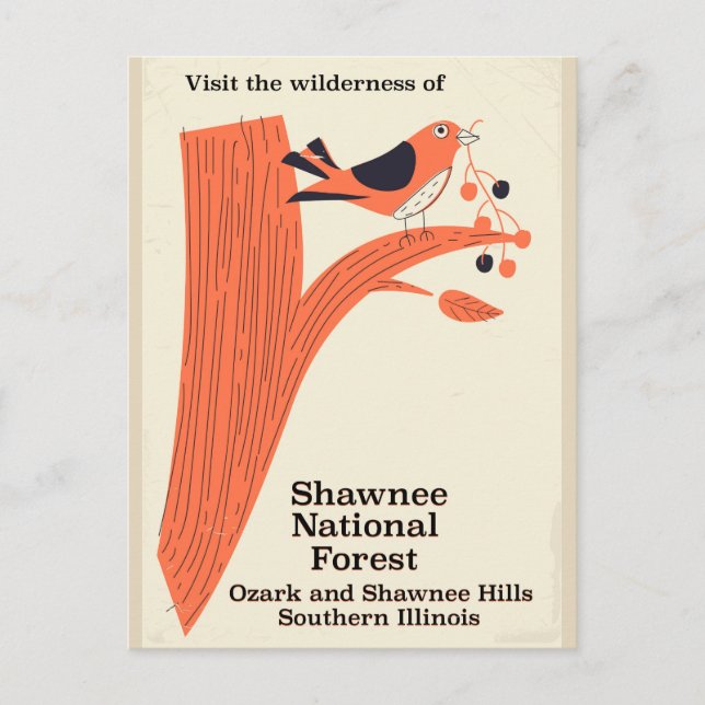 Shawnee National Forest Illinois Vintage Poster Postkarte (Vorderseite)