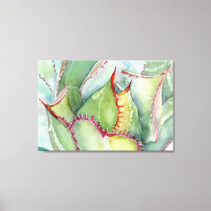 Shaw's Agave Canvas Print Leinwanddruck