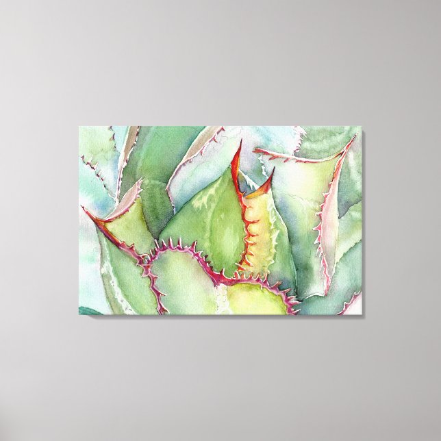 Shaw's Agave Canvas Print Leinwanddruck (Vorderseite)
