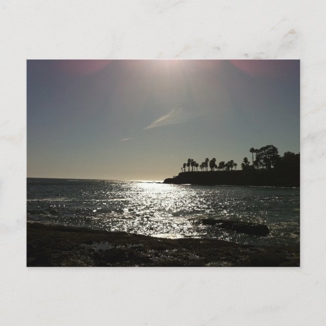 Shaw's Cove Postcard Postkarte (Vorderseite)