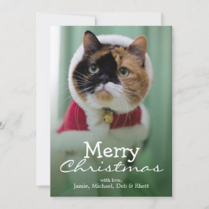 She is wearing a Anzug of Christmas Feiertagskarte