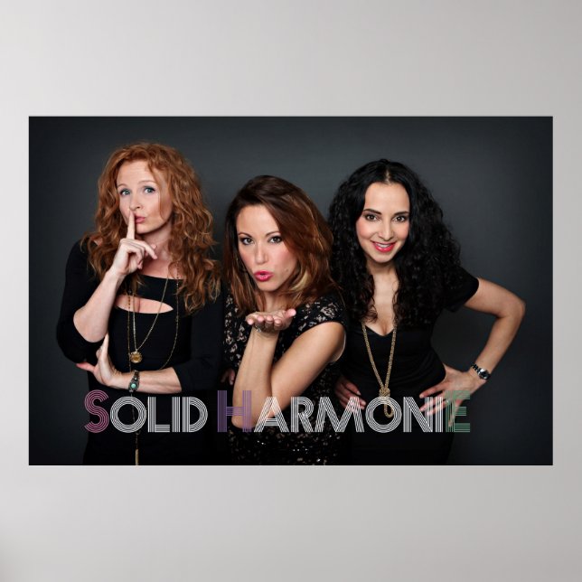 SHE-Poster 2014 Poster (Vorne)