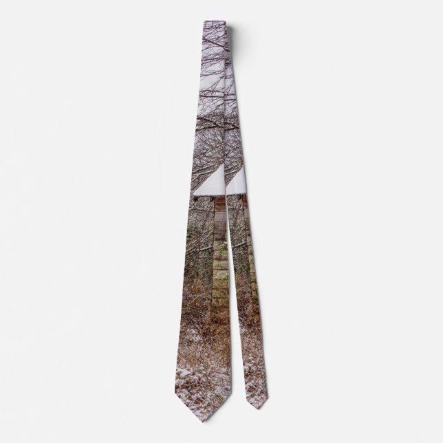 Shed Abandoned Neck Tie Krawatte (Vorderseite)