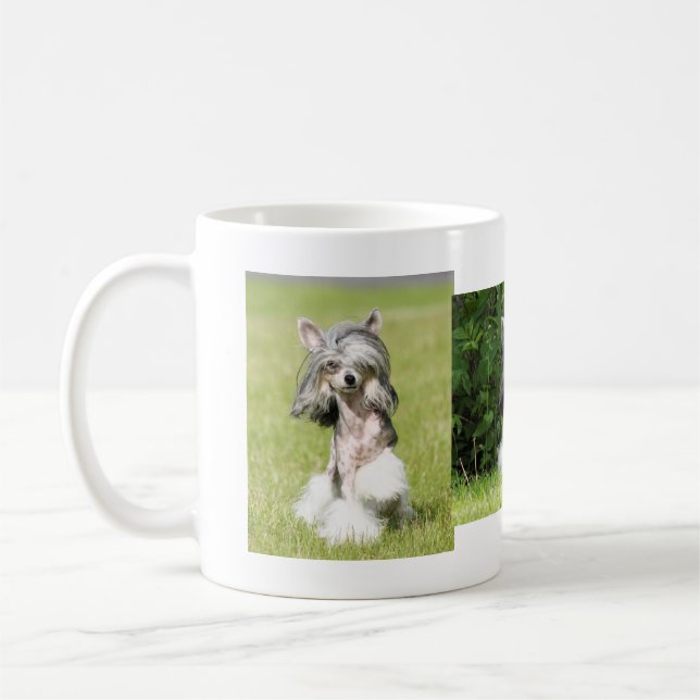 Sheeba Zeigen Tasse (Links)