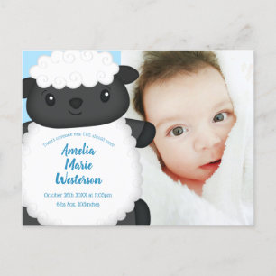 Sheep Baby Dusche Farm Blue Boy Postkarte