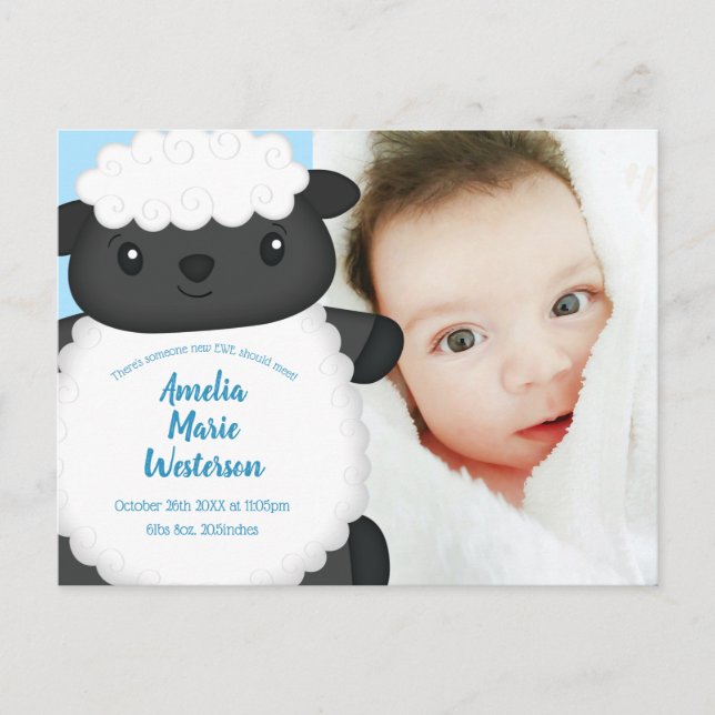 Sheep Baby Dusche Farm Blue Boy Postkarte (Vorderseite)