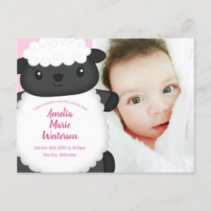 Sheep Baby Dusche Rosa Postkarte
