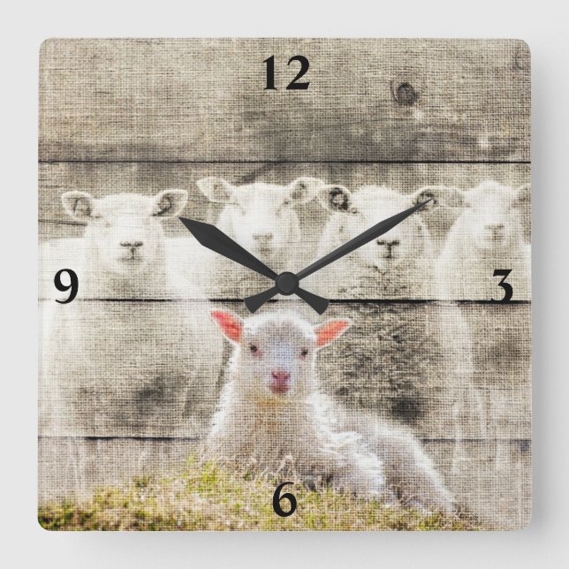 Sheep Baby Lamb Burlap Square Wall Uhr (Vorderseite)