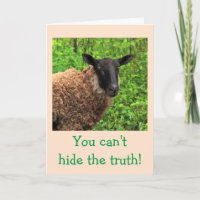 Sheep Flattery Birthday