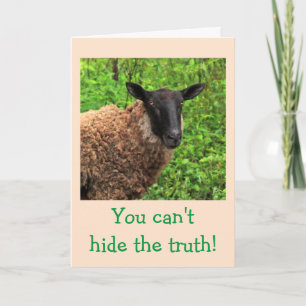 Sheep Flattery Birthday Karte