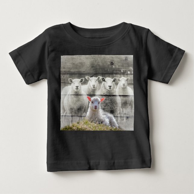 Sheep Flock Baby Lamb Baby T-shirt (Vorderseite)