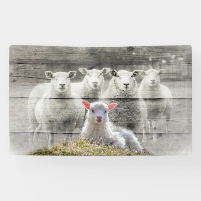 Sheep Flock Baby Lamb Banner (Horizontal)