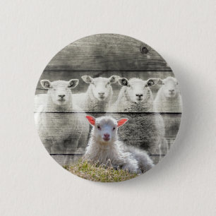 Sheep Flock Baby Lamb Button