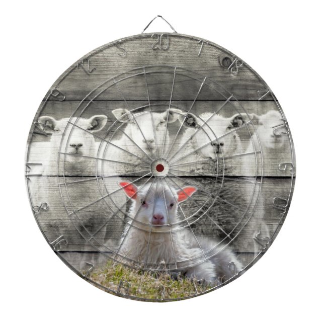 Sheep Flock Baby Lamb Dartscheibe (vorne)