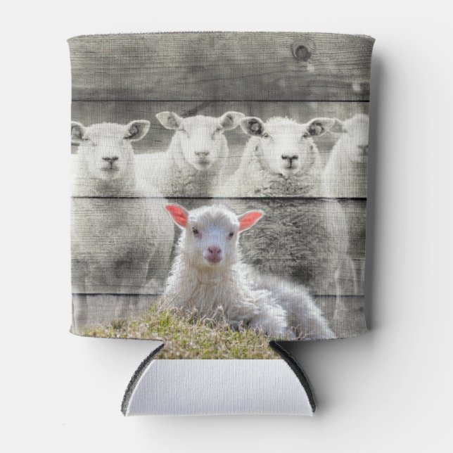 Sheep Flock Baby Lamb Dosenkühler (Vorderseite)