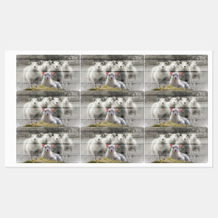 Sheep Flock Baby Lamb Etiketten