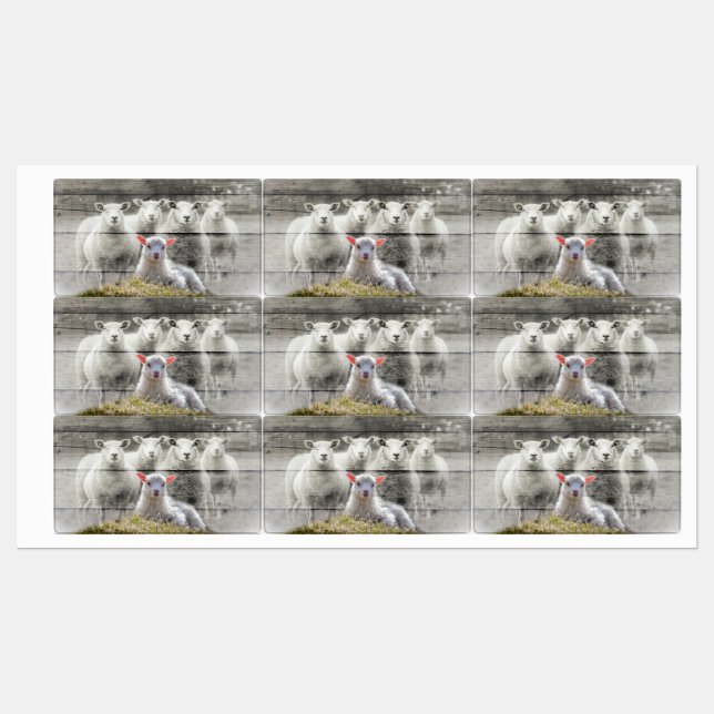Sheep Flock Baby Lamb Etiketten (Blatt)