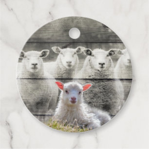 Sheep Flock Baby Lamb Geschenkanhänger