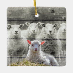 Sheep Flock Baby Lamb Keramikornament