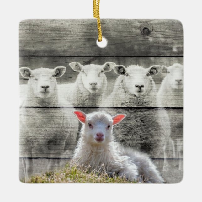 Sheep Flock Baby Lamb Keramikornament (Vorderseite)
