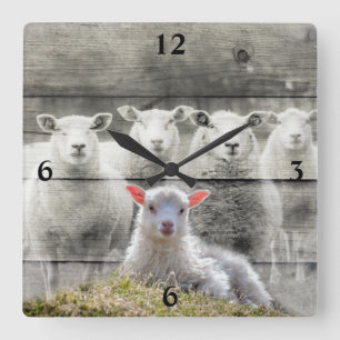 Sheep Flock Baby Lamb Quadratische Wanduhr