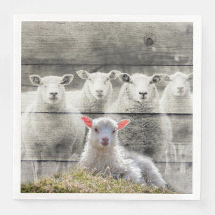Sheep Flock Baby Lamb Serviette