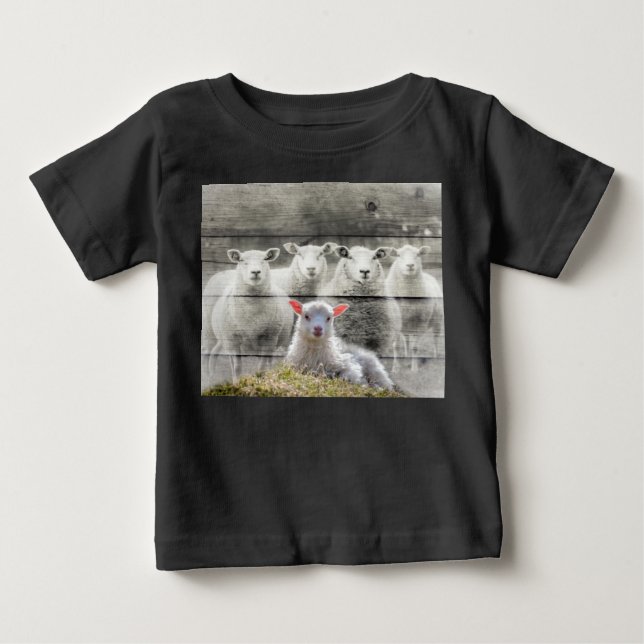 Sheep Flock Baby Lamb T-shirt (Vorderseite)