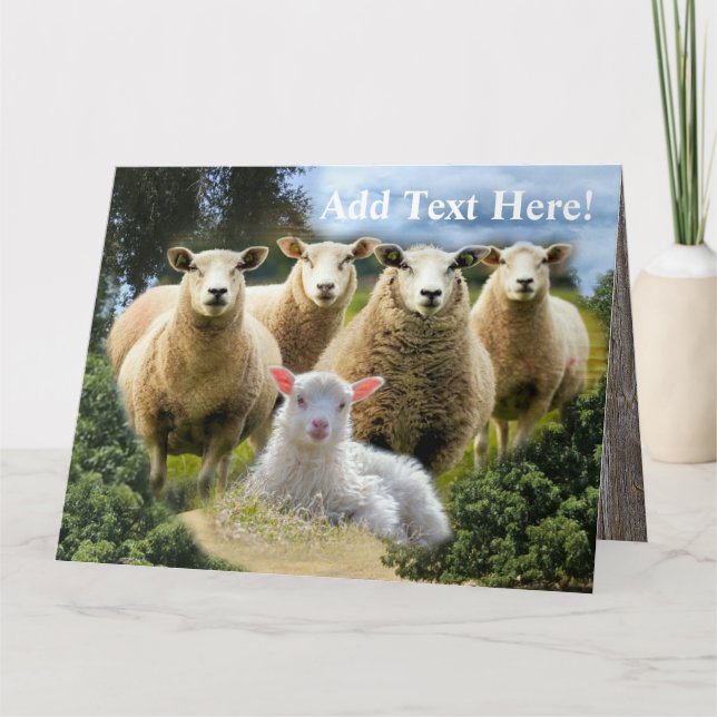 Sheep Flock Sheep Herd Baby Lamb Dankeskarte (Vorderseite)