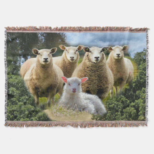 Sheep Flock Sheep Herd Baby Lamb Decke (Vorderseite)