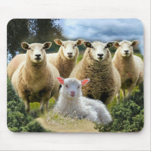 Sheep Flock Sheep Herd Baby Lamb Mousepad