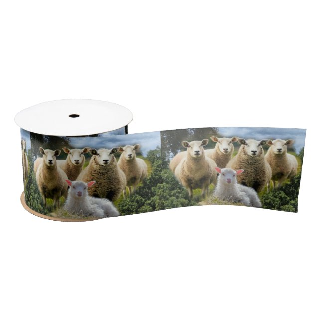 Sheep Flock Sheep Herd Baby Lamb Satinband (Spule)