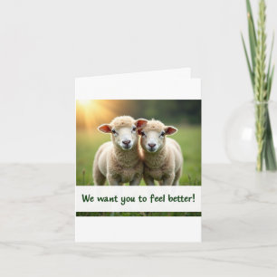 Sheep Friends bekommen eine gute Karte