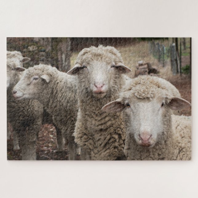 Sheep Friends Puzzle (Horizontal)