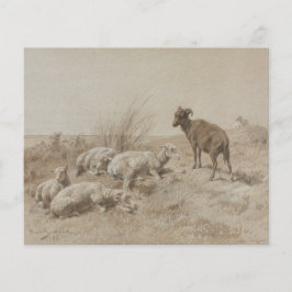 Sheep Graphit Artwork Scrapbook Paper