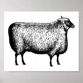 Sheep Gravur Print Poster