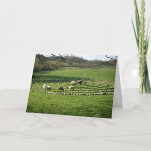 Sheep Grazing a Labyrinth - Calmness Karte