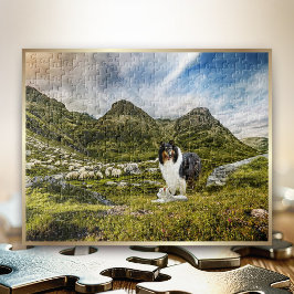Sheep Herding Tricolor Rough Collie in Highlands - Puzzle