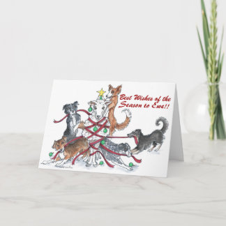 Sheep Hund Holiday Card Feiertagskarte