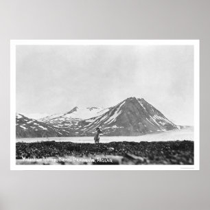 Sheep Kenai Halbinsel Alaska 1912 Poster