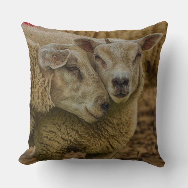 sheep kissen (Vorderseite)