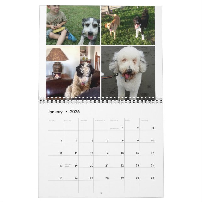 Sheepadoodle-Kalender 2014-2015 Kalender (Jan 2026)