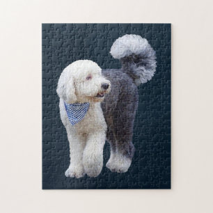 Sheepadoodle mit blauem karierten Schal Puzzle