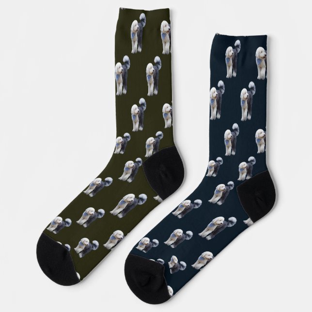 Sheepadoodle mit blauem karierten Schal Socken (Linkes Detail)