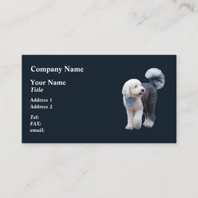 Sheepadoodle mit blauem karierten Schal Visitenkarte (Vorderseite)