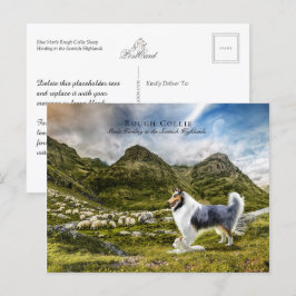 Sheepherding Blue Merle Rough Collie - Collectibel Postkarte