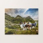 Sheepherding Rough-Colliese im schottischen Hochla Puzzle<br><div class="desc">Liebe, Jigsaw Puzzles zu lösen? Liebe du Colliese? Wir haben den perfekten Zeitvertreib für Sie! Dieses Puzzle ist in verschiedenen Größen mit bis zu 1014 Stücken erhältlich, bedruckt mit einem wunderschönen Composite-Kunstwerk aus drei wunderschönen rohen Colliesen in ihren Standardfarben Eins und Weiß, Tricolor und Blau Merle Herding in den schottischen...</div>