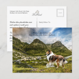 Sheepherding Sable Rough Collie - Collectibel Postkarte