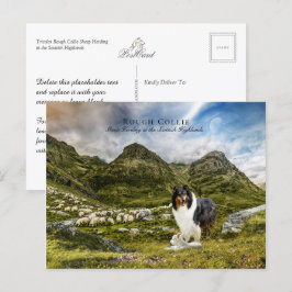 Sheepherding Tricolor Rough Collie - Collectibel Postkarte