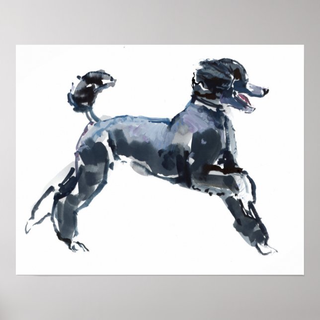 Sheer Class 2013 Poster (Vorne)